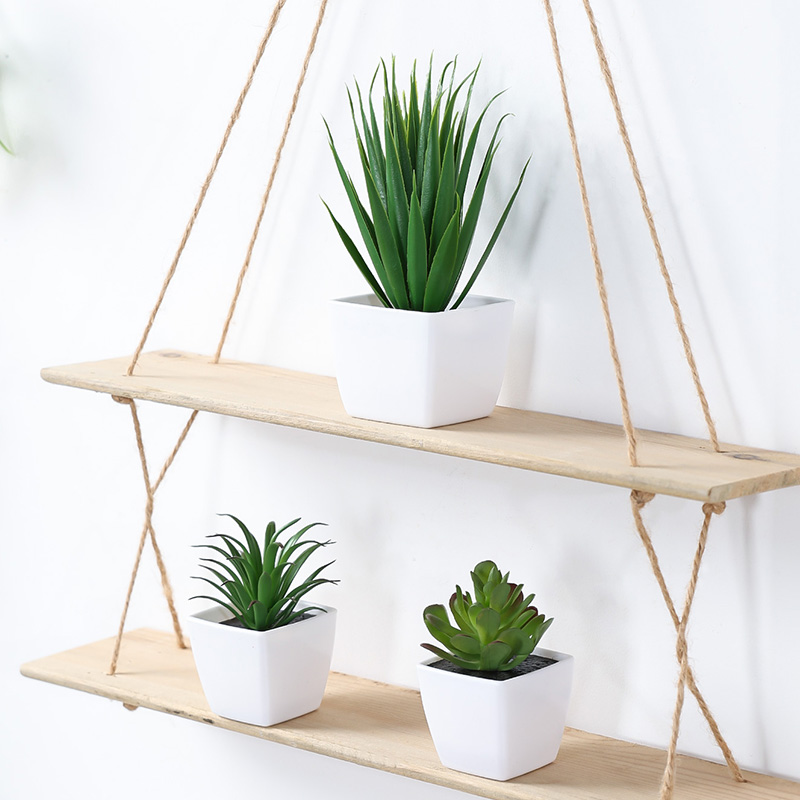 (U set di 3 pezzi) Mini piante - Succulent Set recensione e prezzo
