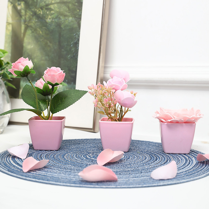 (U set di 3 pezzi) Mini piante - Succulent Set recensione e prezzo