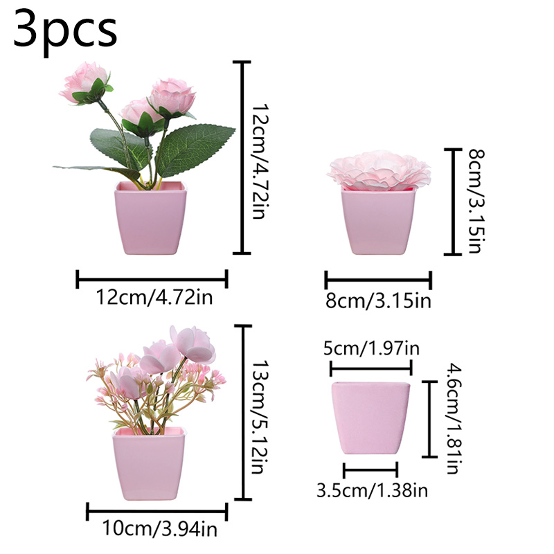 (U set di 3 pezzi) Mini piante - Succulent Set recensione e prezzo