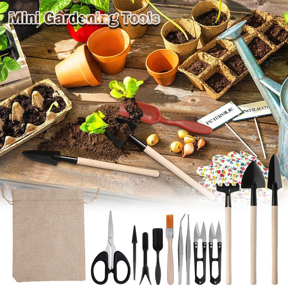 Set di attrezzi per piante suc - Succulent Set recensione e prezzo
