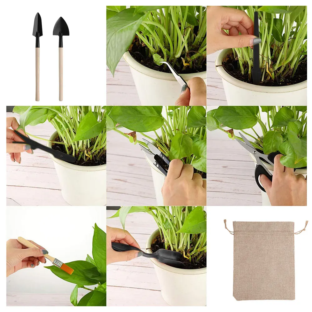 Set di attrezzi per piante suc - Succulent Set recensione e prezzo