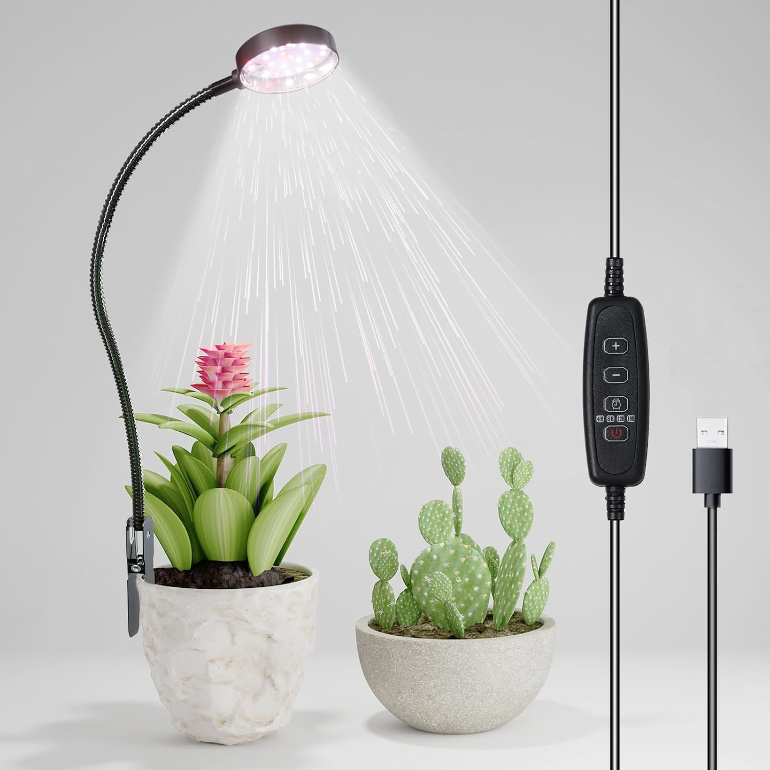 Lampada LED USB per Coltivazio - Pothos recensione e prezzo