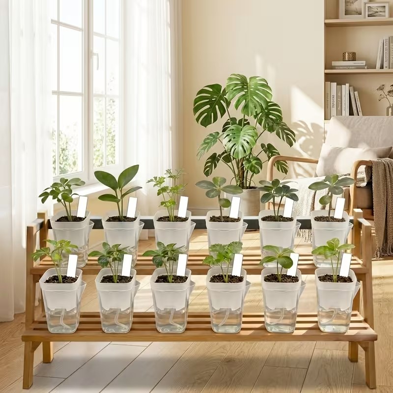 Confezione da 16/32 Vasi Autoi - Pothos recensione e prezzo
