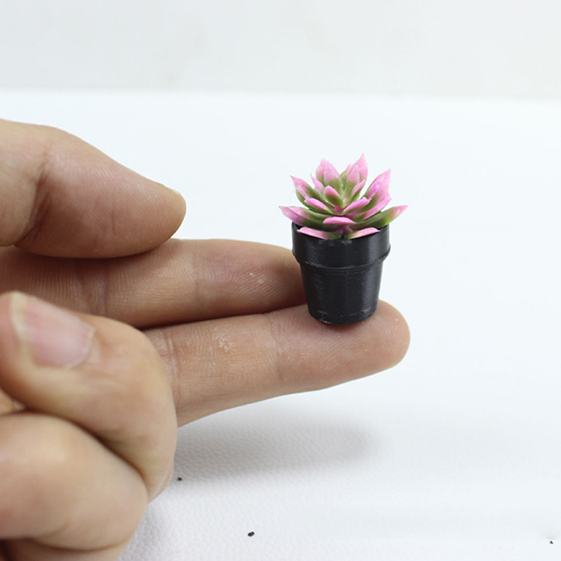 8 pezzi di piccole piante in v - Succulent Set recensione e prezzo