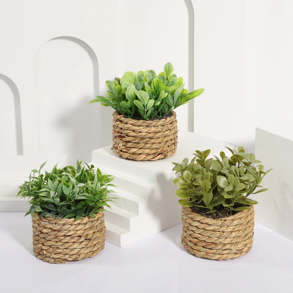 Pianta artificiale in vaso ver - Succulent Set recensione e prezzo