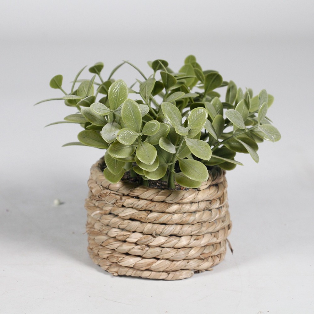 Pianta artificiale in vaso ver - Succulent Set recensione e prezzo