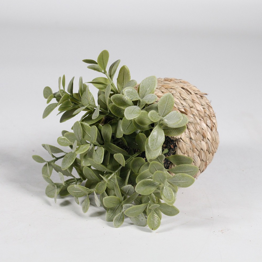 Pianta artificiale in vaso ver - Succulent Set recensione e prezzo