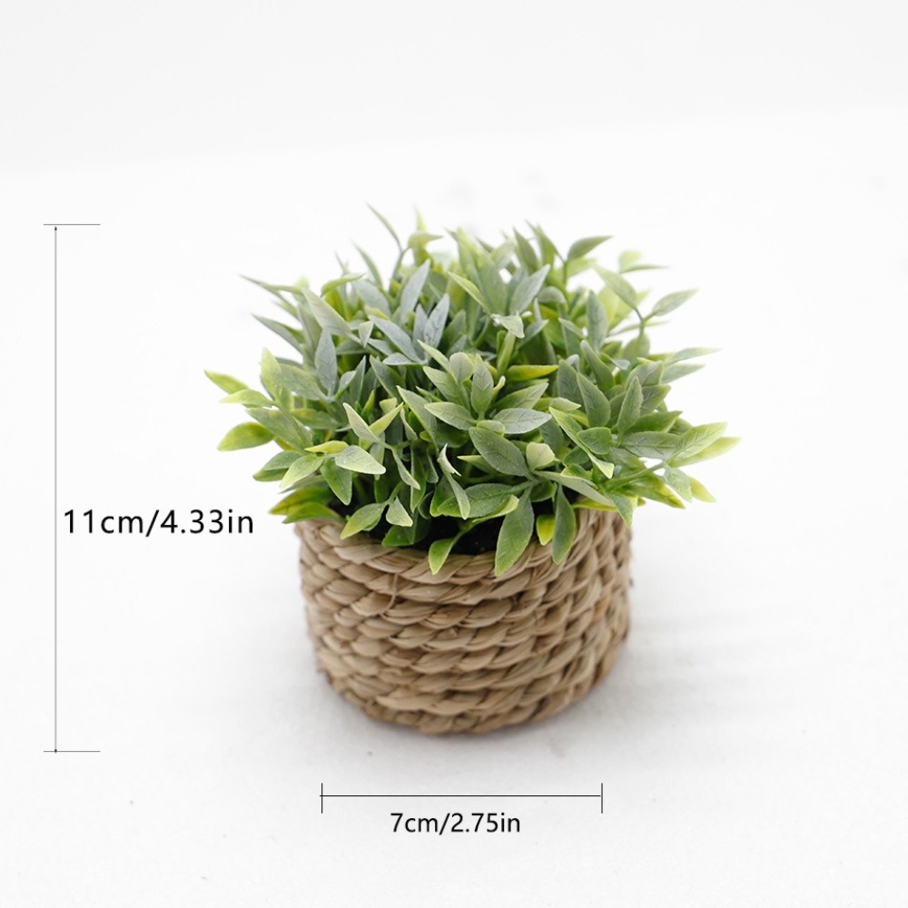 Pianta artificiale in vaso ver - Succulent Set recensione e prezzo