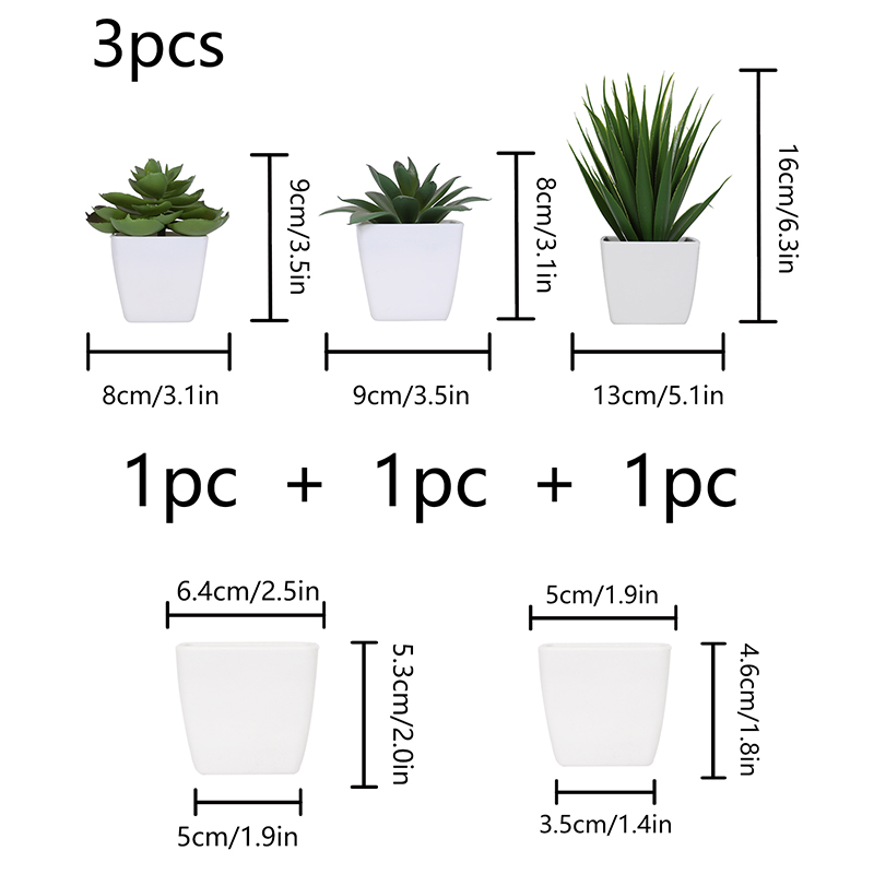 Bonsai di piante sempreverde a - Succulent Set recensione e prezzo