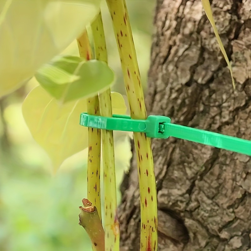 100 fascette per giardinaggio, - Plant Pot recensione e prezzo