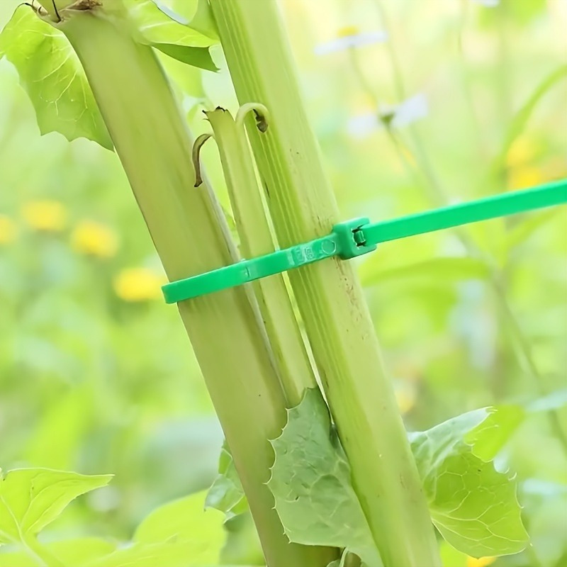 100 fascette per giardinaggio, - Plant Pot recensione e prezzo