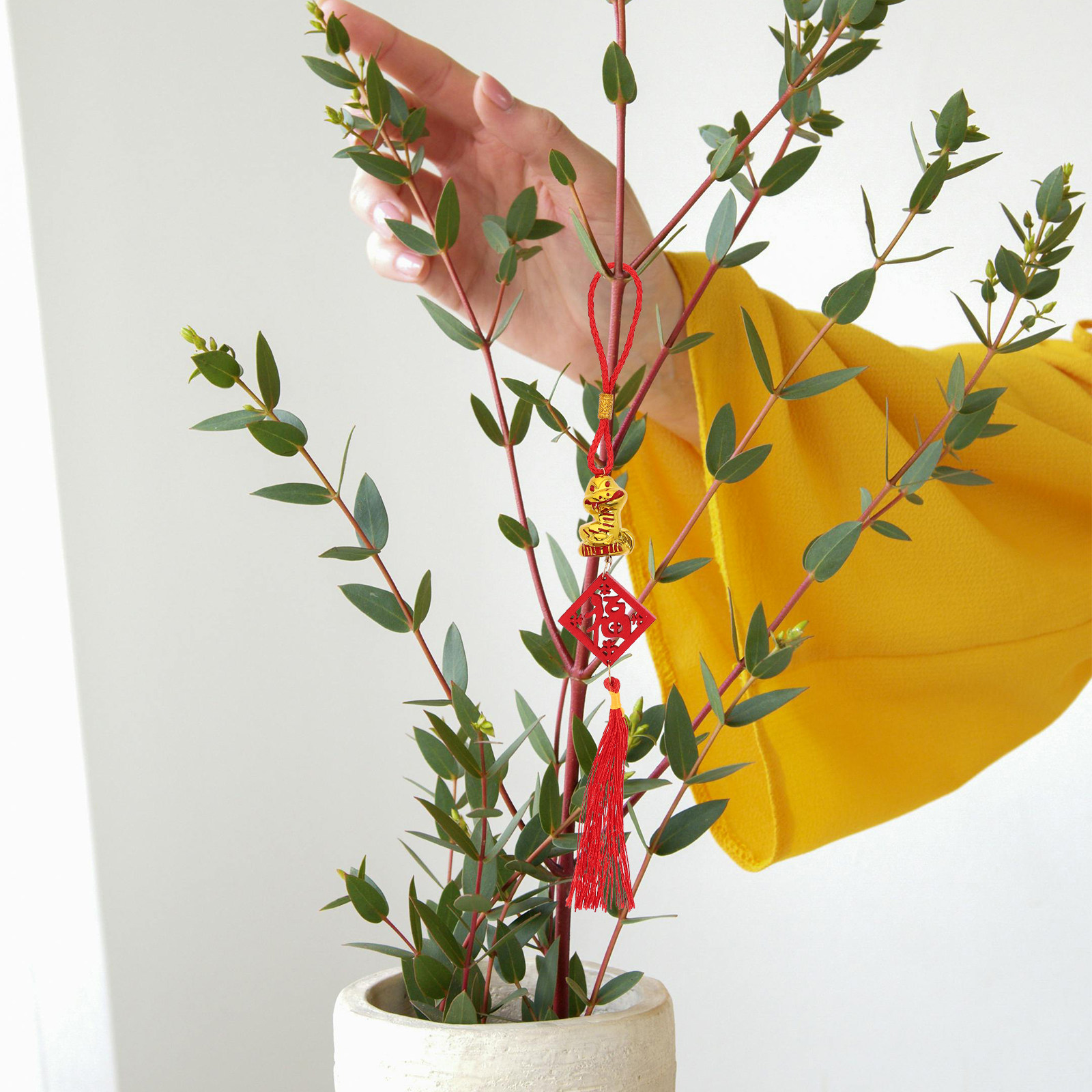 Set di 5 ciondoli in legno a t - Snake Plant recensione e prezzo