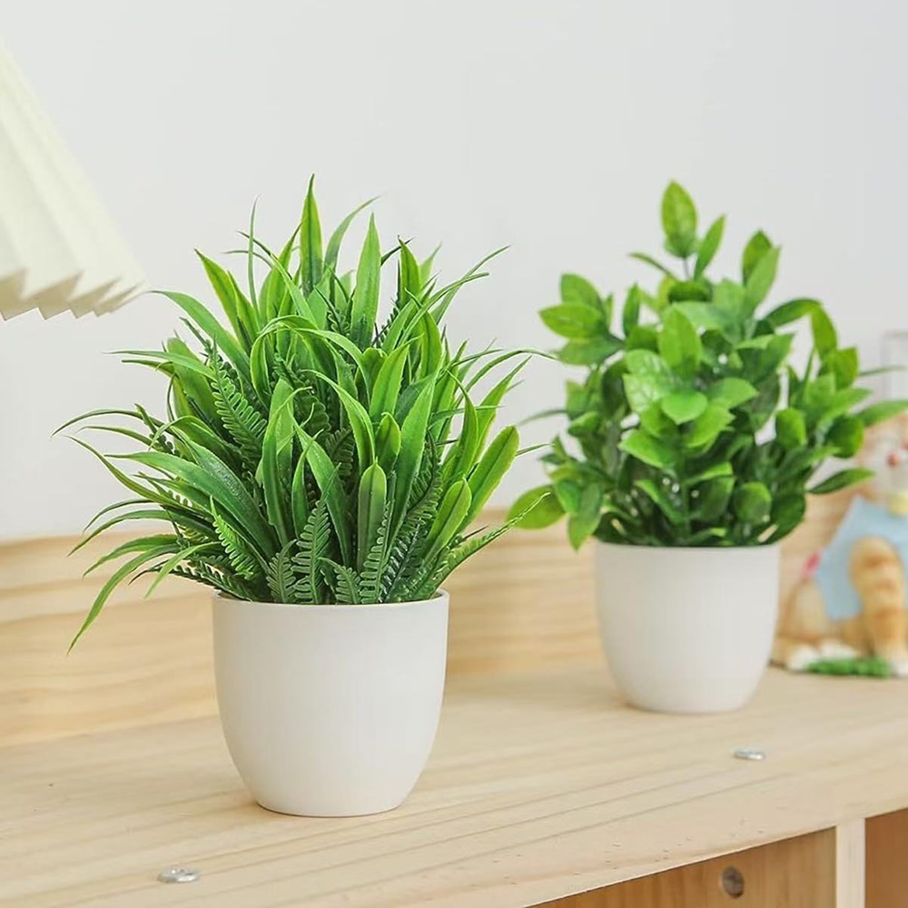 Set di 4 Mini Piante Artificia - Succulent Set recensione e prezzo