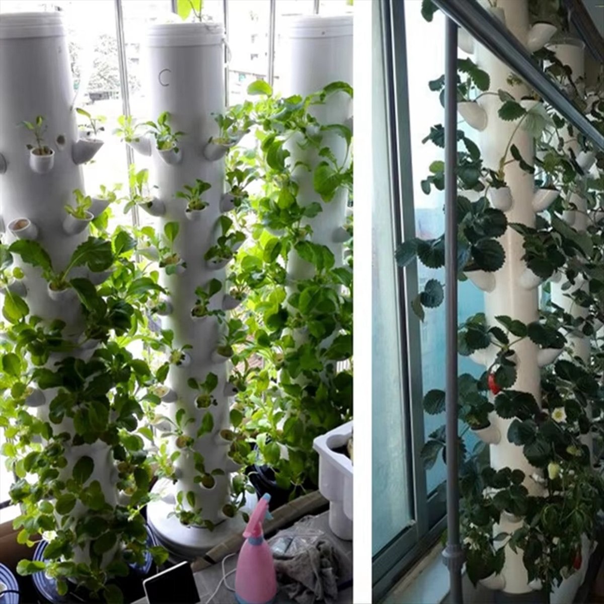 Contenitore Verticale Idroponi - Plant Pot recensione e prezzo
