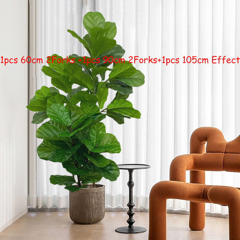 23-41 pollici albero di ficus  - Fiddle Leaf Fig recensione e prezzo