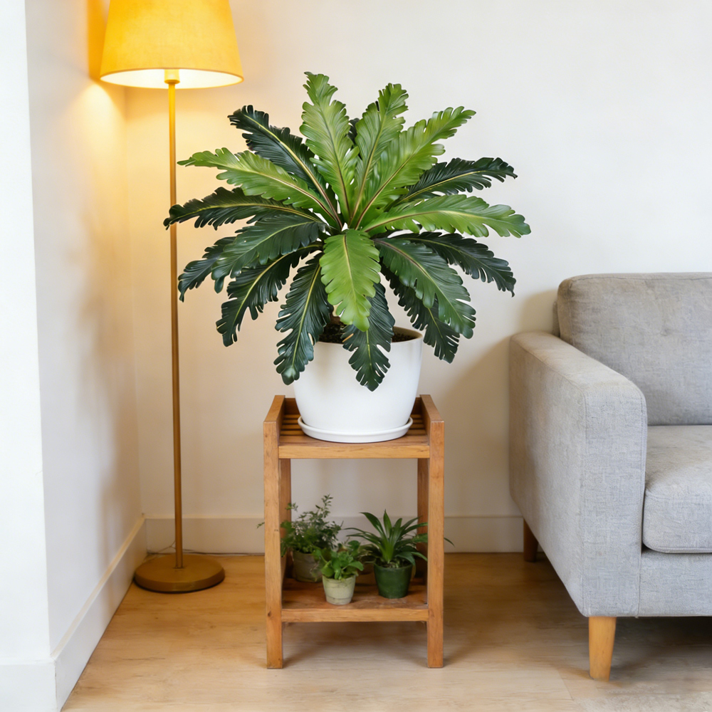Foglie Artificiali di Palma Pe - Snake Plant recensione e prezzo
