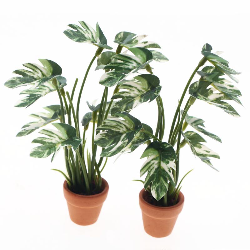 Nuovo. 1 Pezzo Pianta Verde Mo - Plant Pot recensione e prezzo