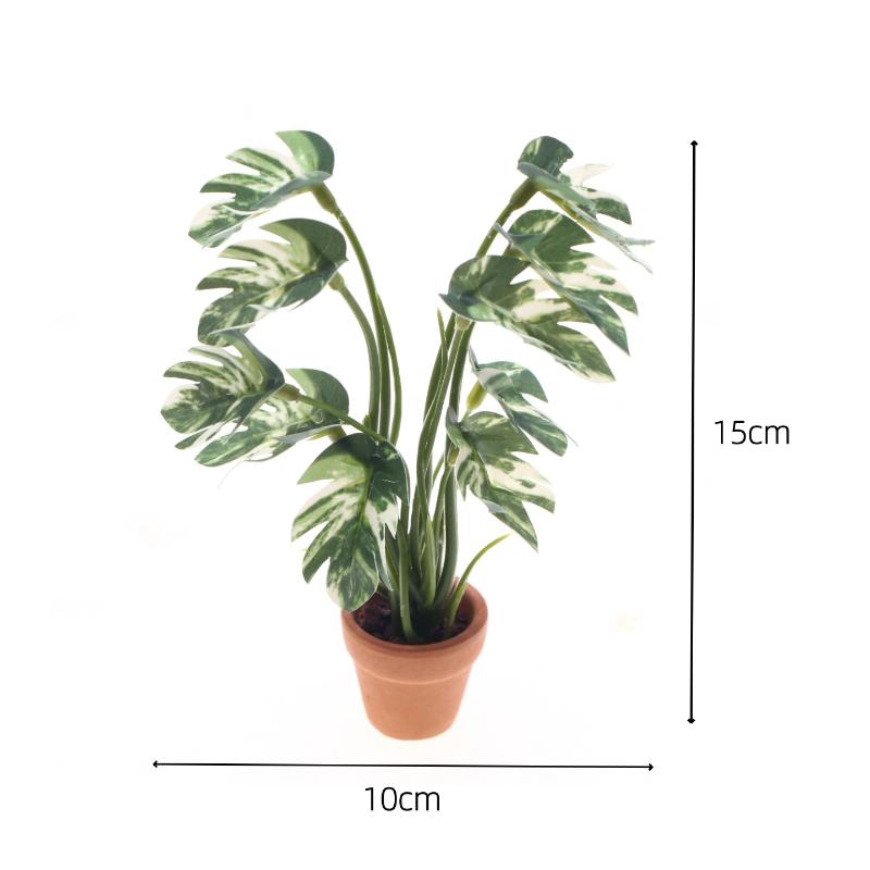 Nuovo. 1 Pezzo Pianta Verde Mo - Plant Pot recensione e prezzo