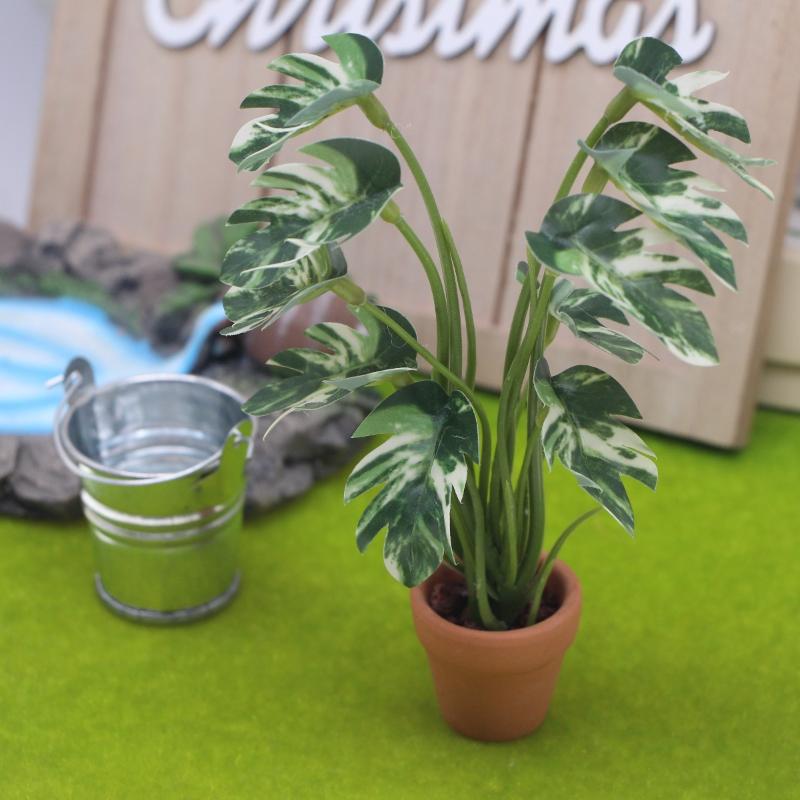 Nuovo. 1 Pezzo Pianta Verde Mo - Plant Pot recensione e prezzo
