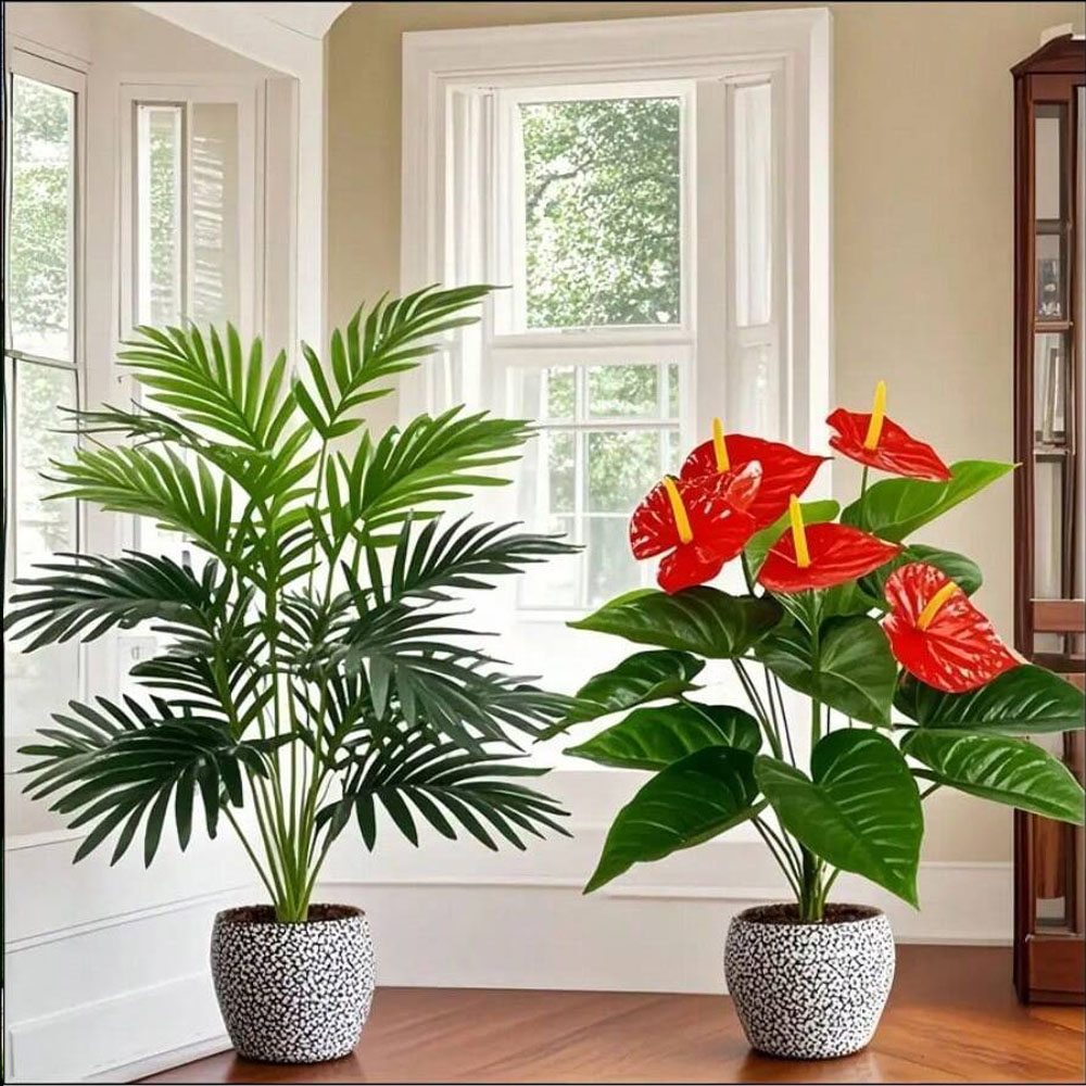 2 set di grandi piante di palm - Fiddle Leaf Fig recensione e prezzo