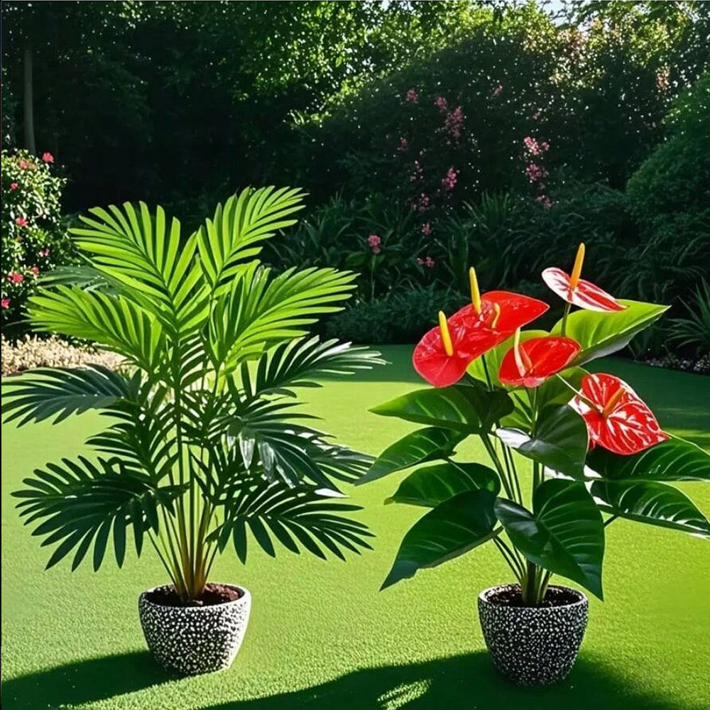 2 set di grandi piante di palm - Fiddle Leaf Fig recensione e prezzo