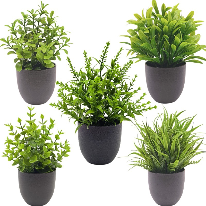 Bonsai Artificiale Verde per D - Succulent Set recensione e prezzo