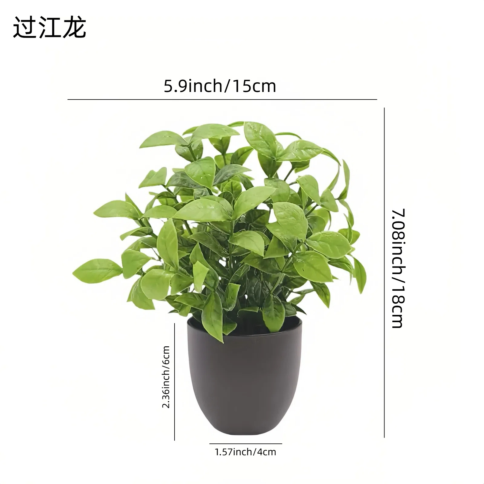 Bonsai Artificiale Verde per D - Succulent Set recensione e prezzo