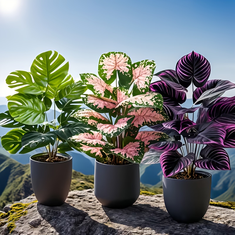 Set di 3 Piante Artificiali Mi - Fiddle Leaf Fig recensione e prezzo