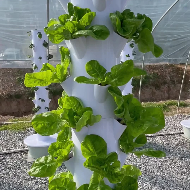 Con Led Coltiva La Luce Spazio - Plant Pot recensione e prezzo