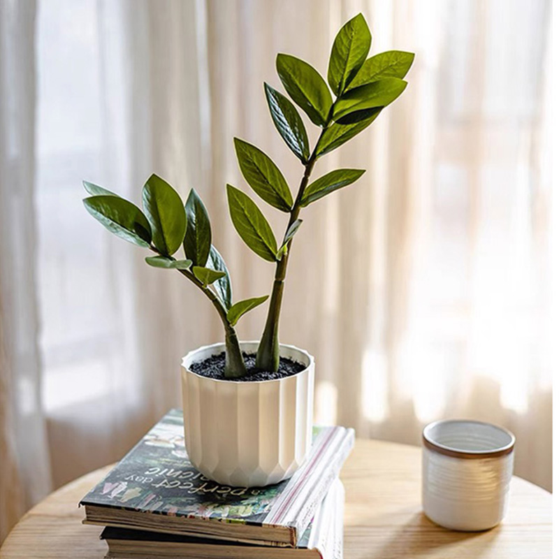 25in Tropical grandi piante di - Snake Plant recensione e prezzo