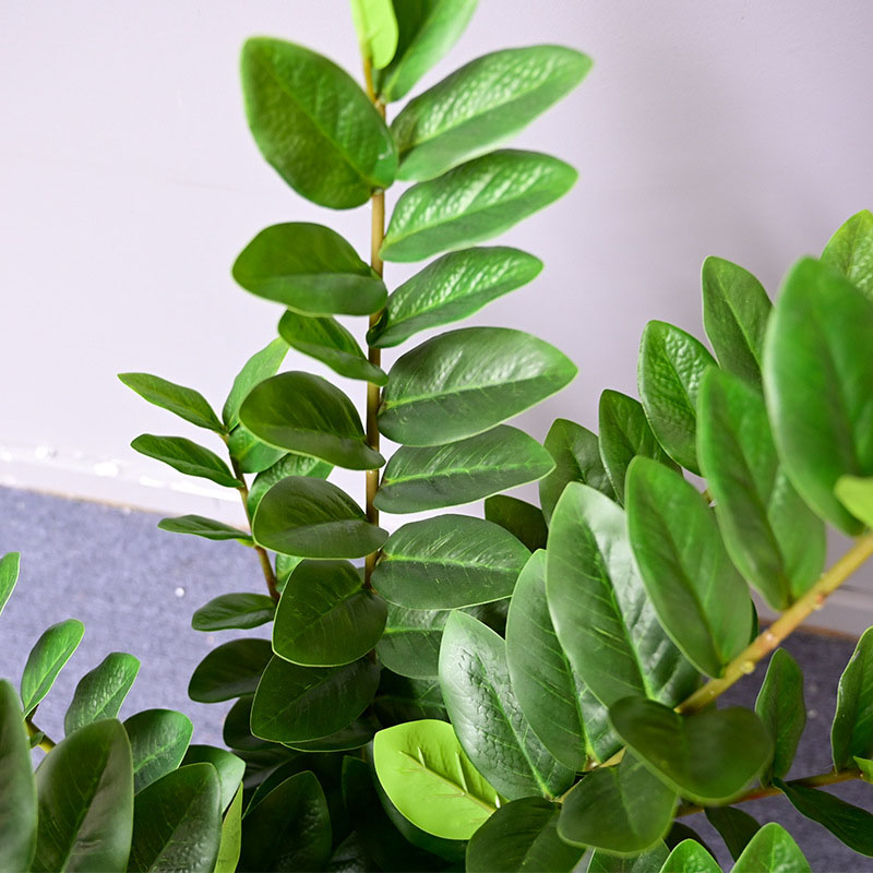 25in Tropical grandi piante di - Snake Plant recensione e prezzo