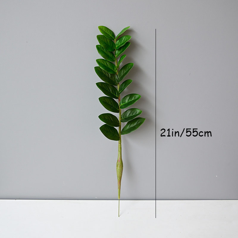 25in Tropical grandi piante di - Snake Plant recensione e prezzo