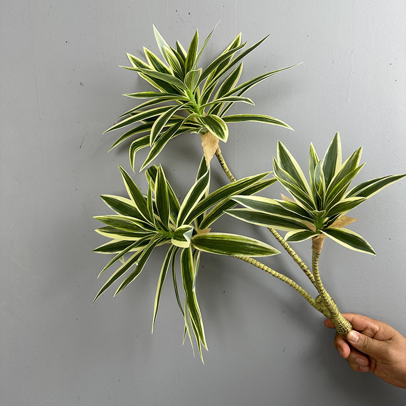 Piante verdi simulate 3 teste  - Snake Plant recensione e prezzo