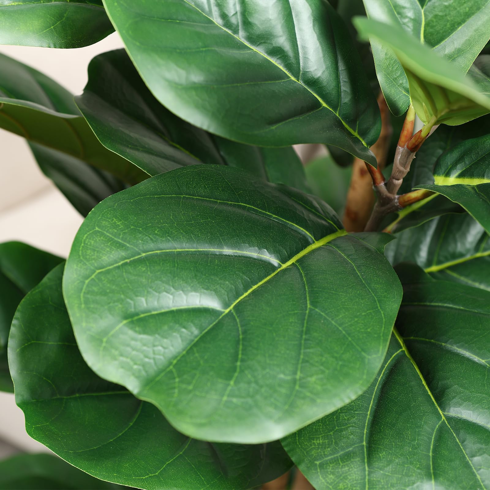 Albero di fico artificiale con - Fiddle Leaf Fig recensione e prezzo