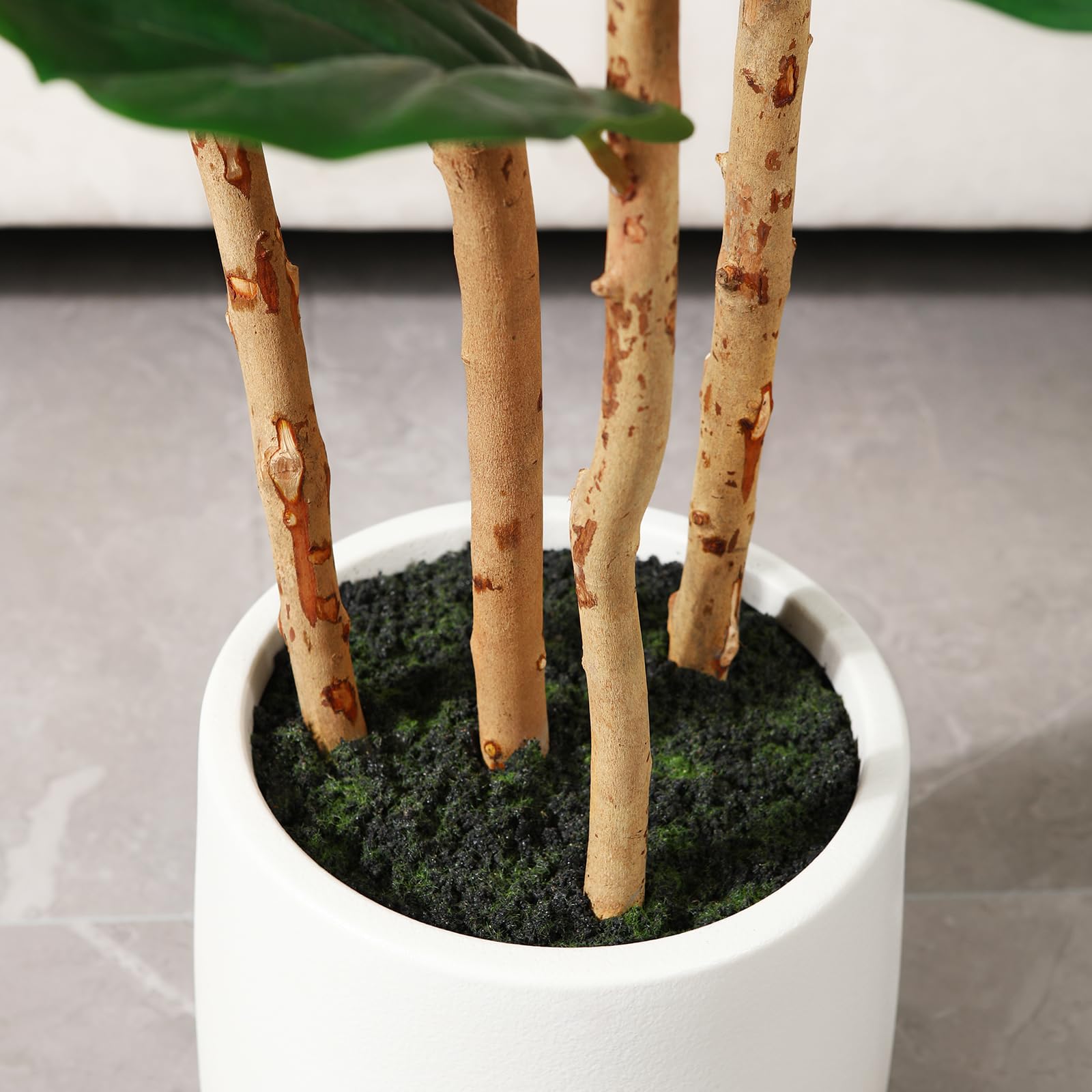 Albero di fico artificiale con - Fiddle Leaf Fig recensione e prezzo