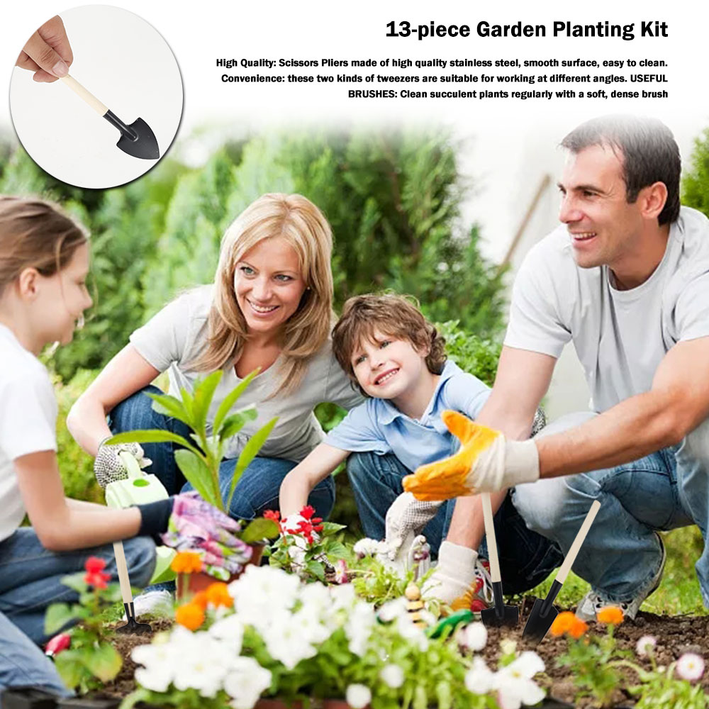 Strumenti per piante grasse Mi - Succulent Set recensione e prezzo