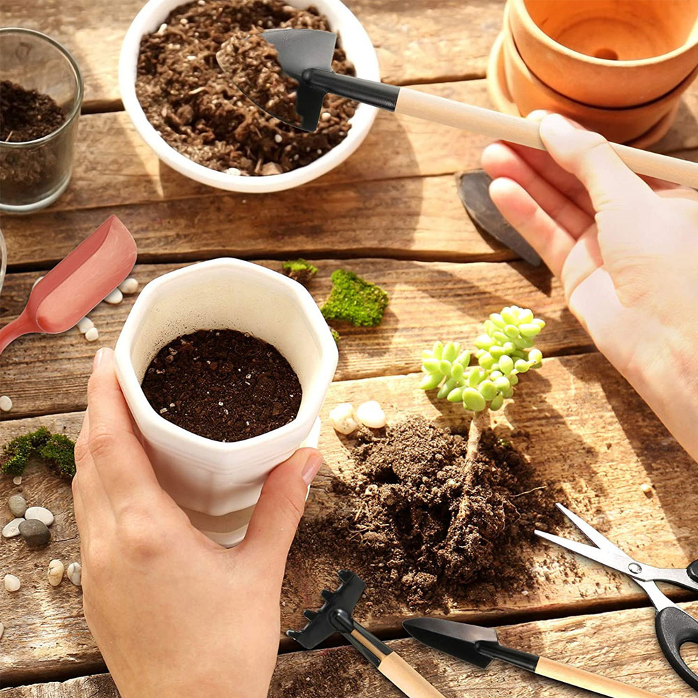 Strumenti per piante grasse Mi - Succulent Set recensione e prezzo