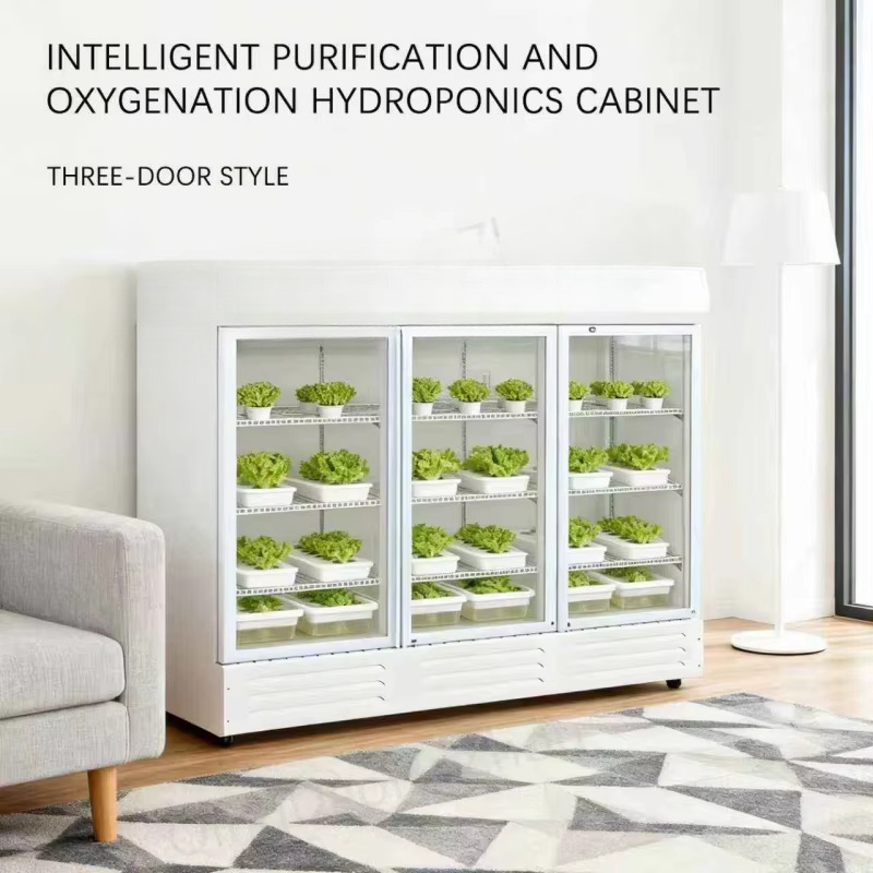HEZHOU HZ-3 Armadio Intelligen - Indoor Plants recensione e prezzo