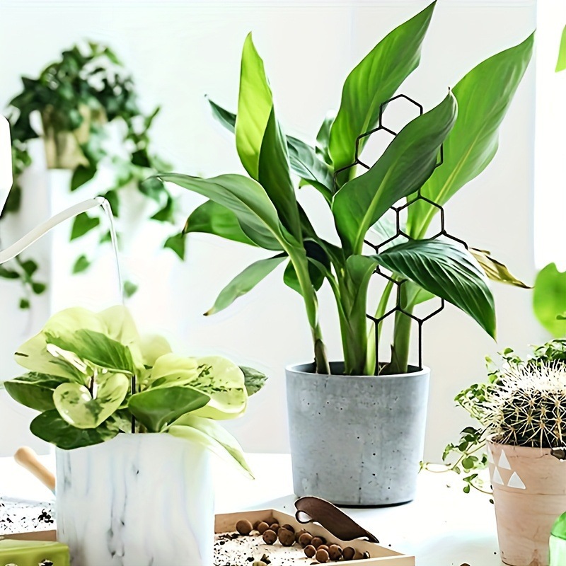 1 Pezzo Griglia per Piante a N - Terracotta Pot recensione e prezzo