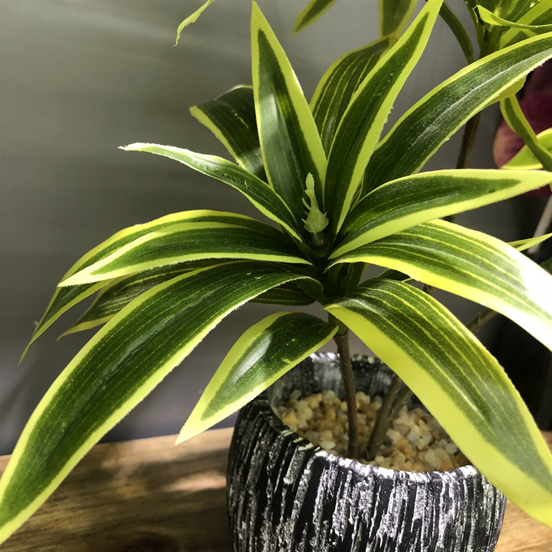 35CM 3 forchette artificiali D - Snake Plant recensione e prezzo